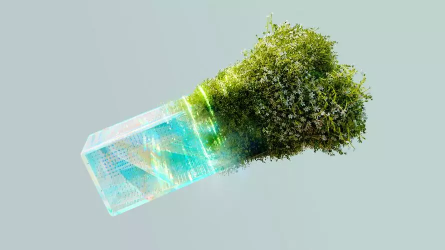 Plant growing out of an AI generated tech cube