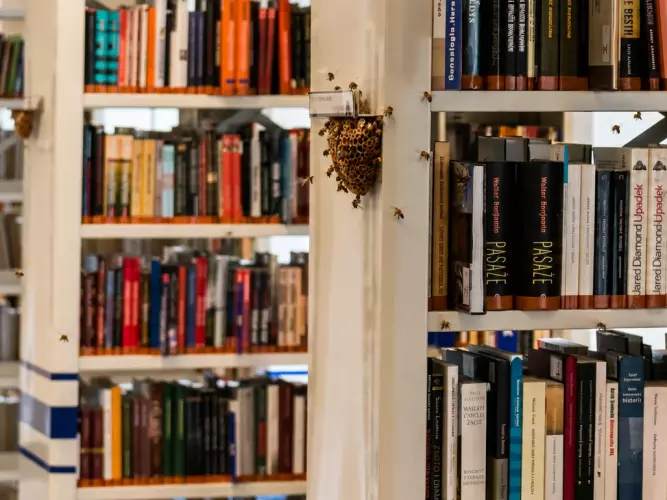 Beekeepers library (with bees!)