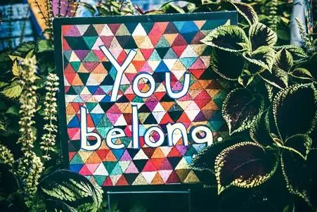 you belong surrounded by leaves and foliage