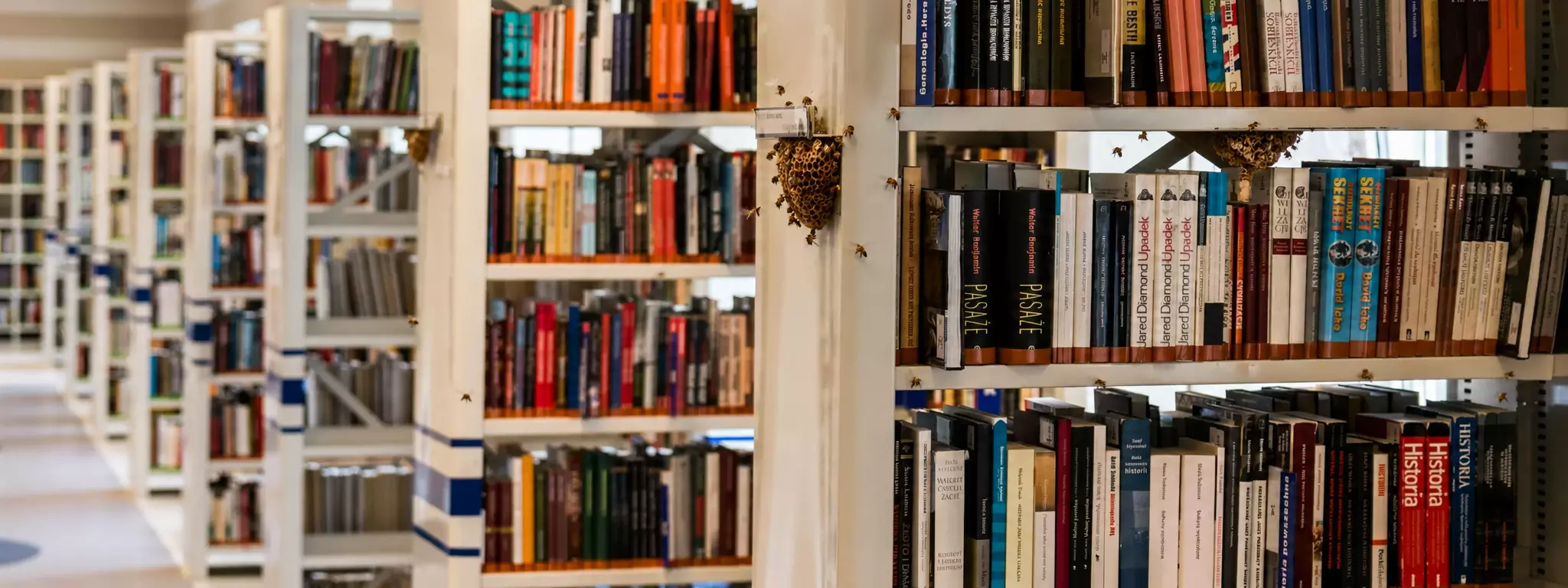 Beekeepers library (with bees!)
